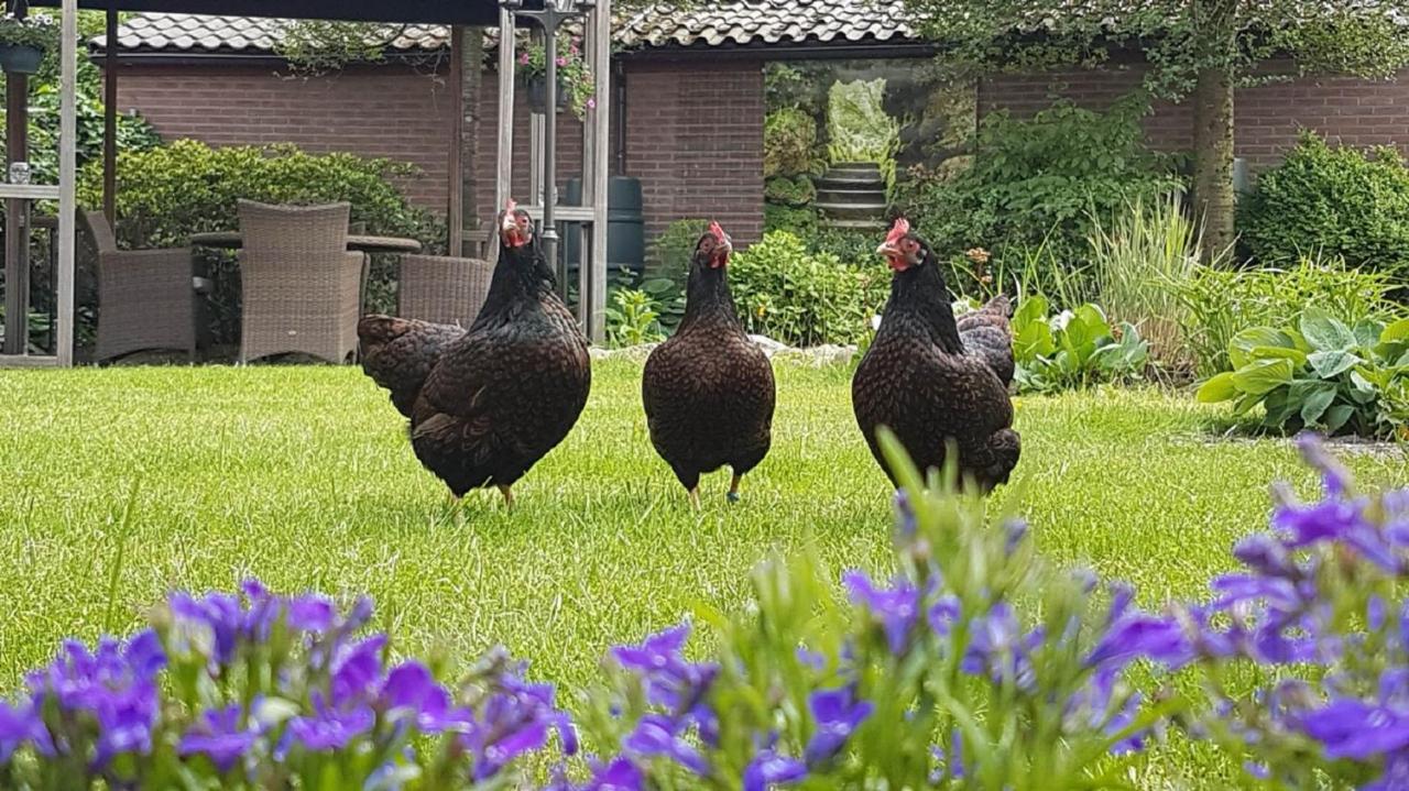 B&B De Loenense Bossen Экстерьер фото